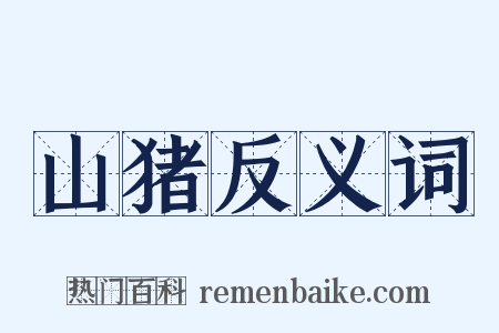 山猪反义词是什么意思的图片